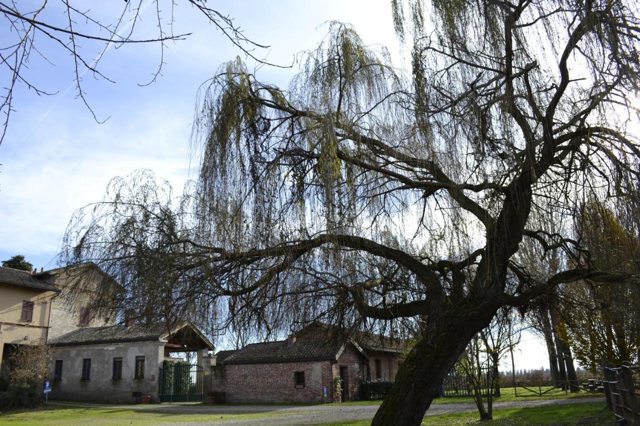 Agriturismo Fiamberta Bed and Breakfast Certosa di Pavia Exteriör bild